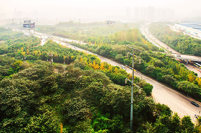 铜仁S201绿化景观工程